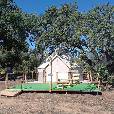 Glamping *