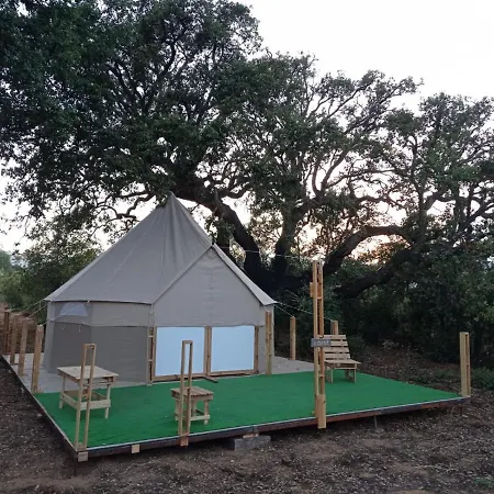 Glamping Luxury tent