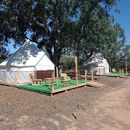 Luxury tent Glamping