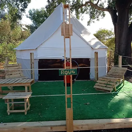 Glamping *